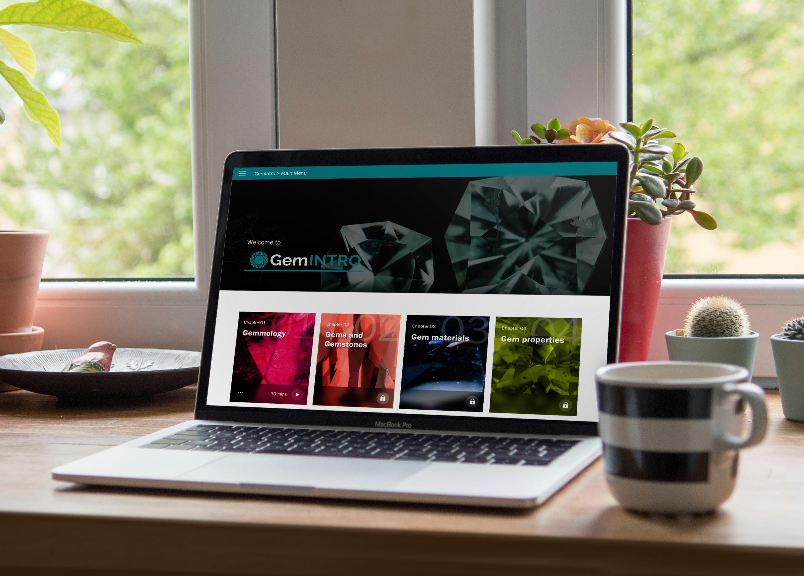 GemINTRO and NAJ Endorsed Status: A Clearer Entry Point for Gemmology