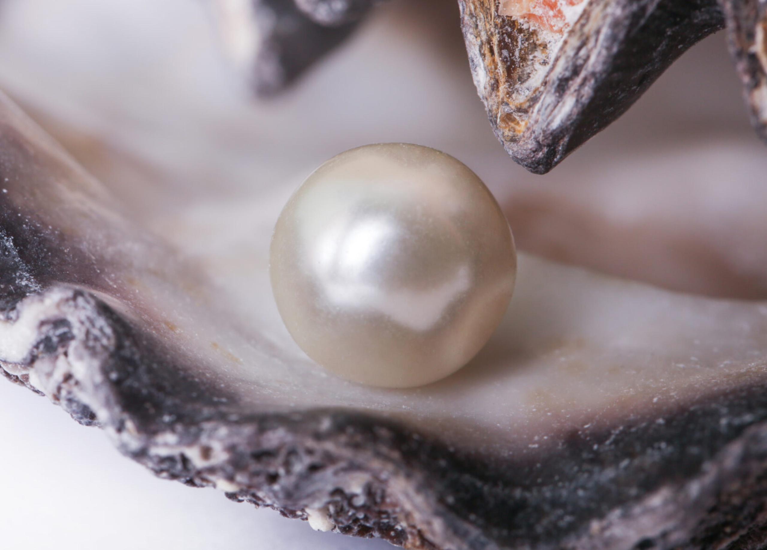 Jersey’s Jewellery Businesses Unite to Strengthen the Industry
