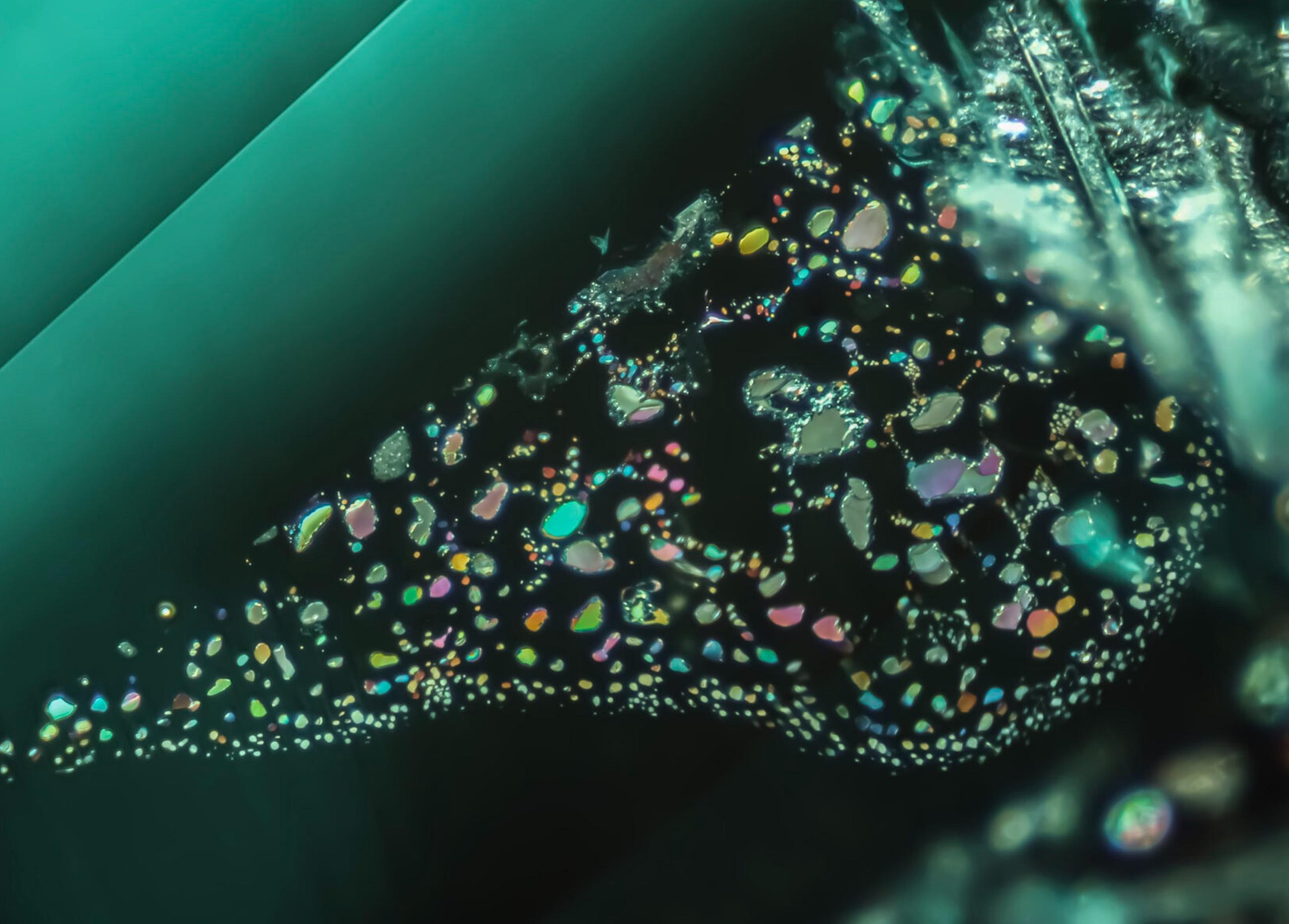 Gem-A Opens Entries for 2026 Photographer of the Year Competition