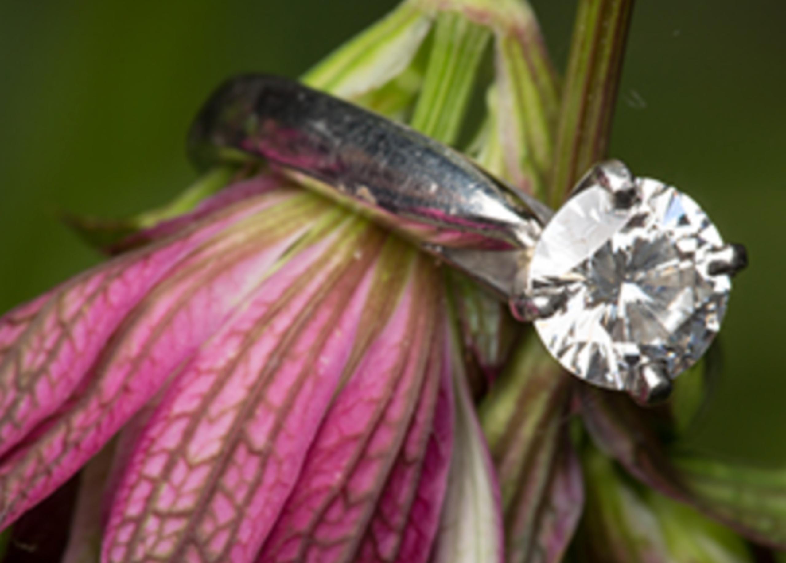 US Jewellery Sales Rise as Spending Shifts to Higher Price Points