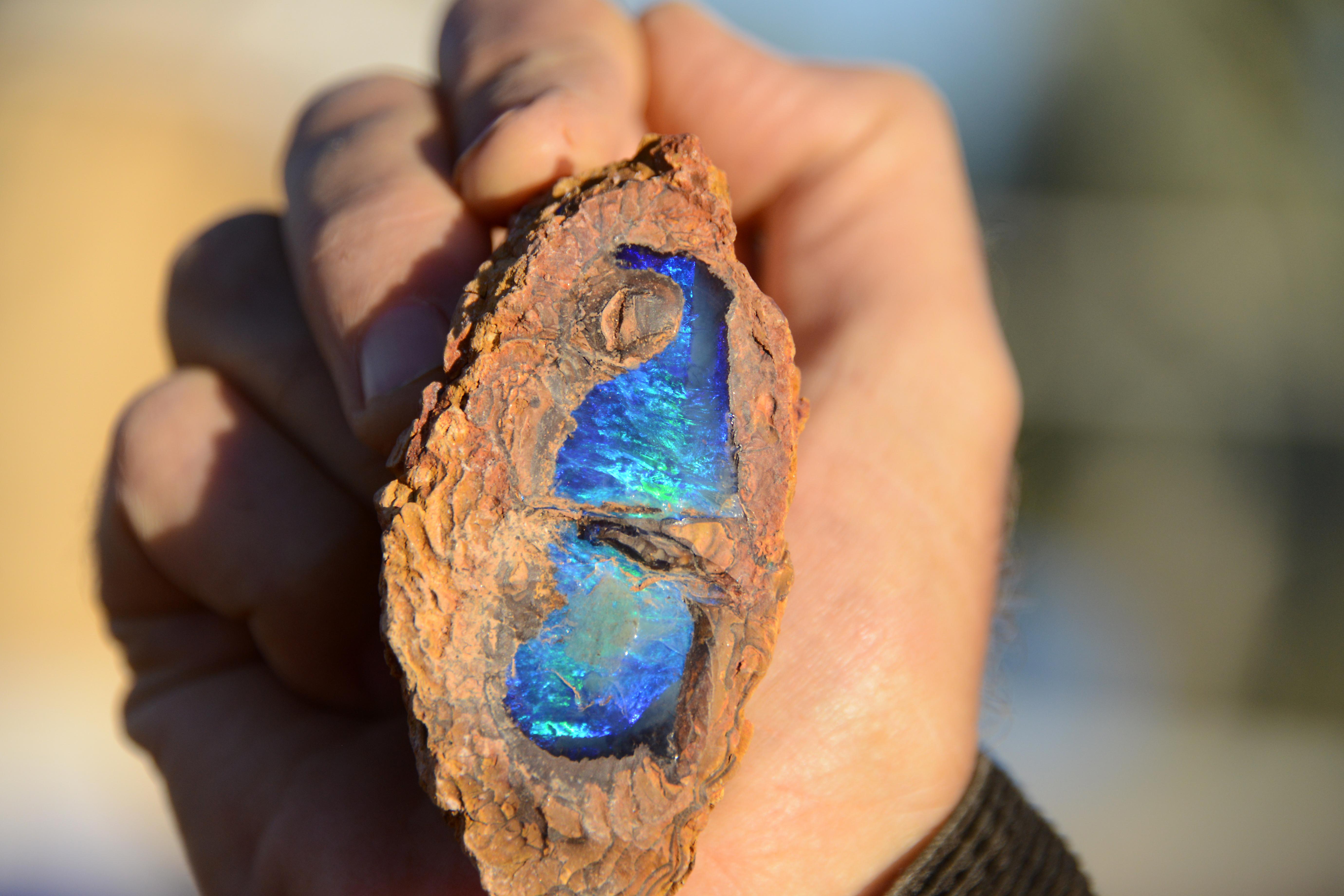 Hand holding a rough Queensland boulder opal specimen with vivid blue and green opal exposed within reddish-brown ironstone