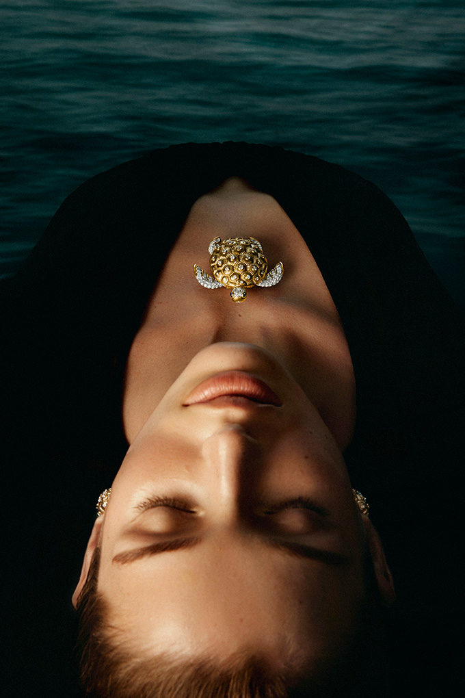 Blue Book Turtle