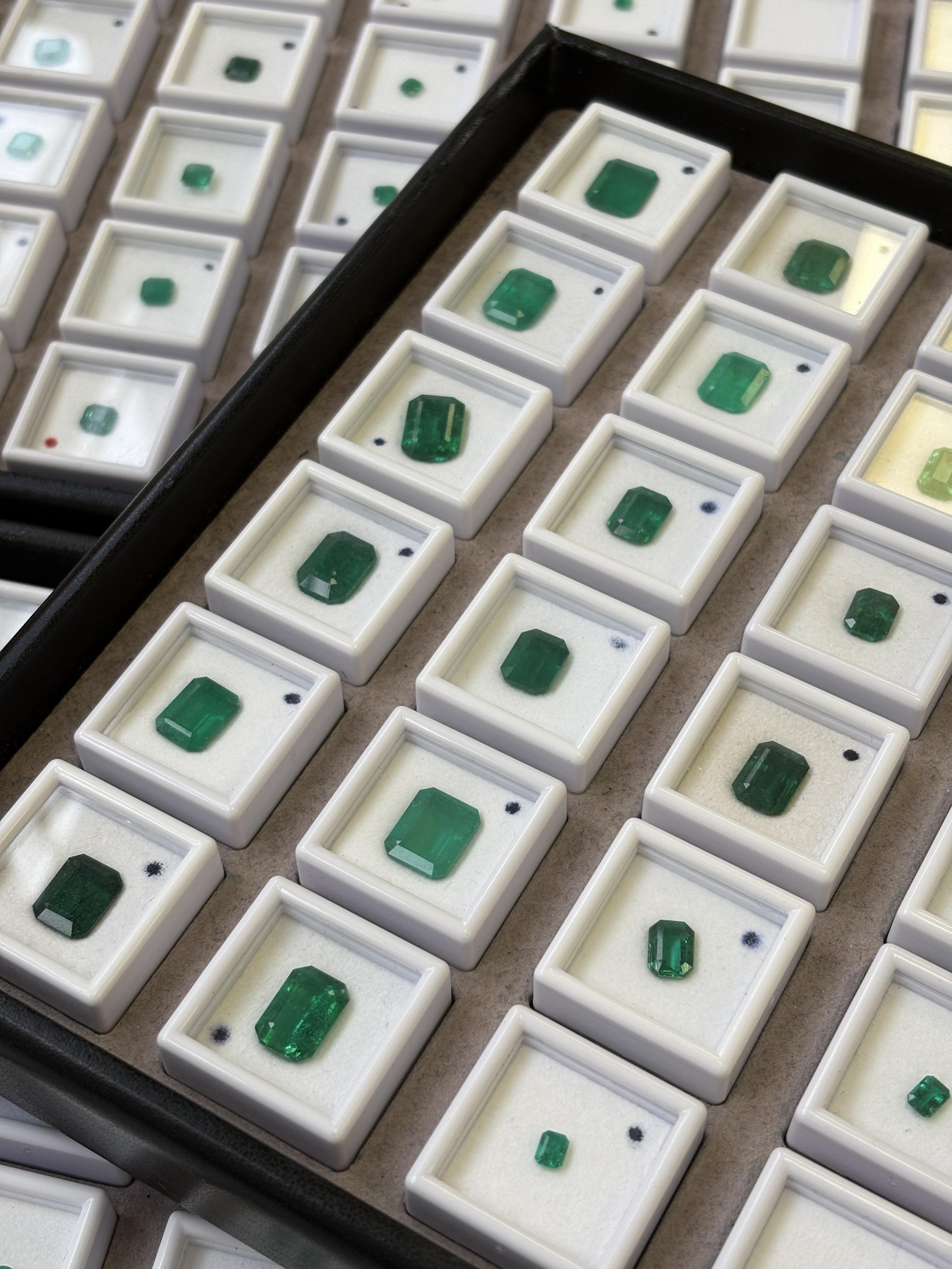Tray displaying multiple emerald gemstones in individual display boxes, featuring a variety of cuts and green tones.